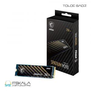 حافظه SSD M.2 ام اس ای SPATIUM M390 ظرفیت 250 گیگابایت