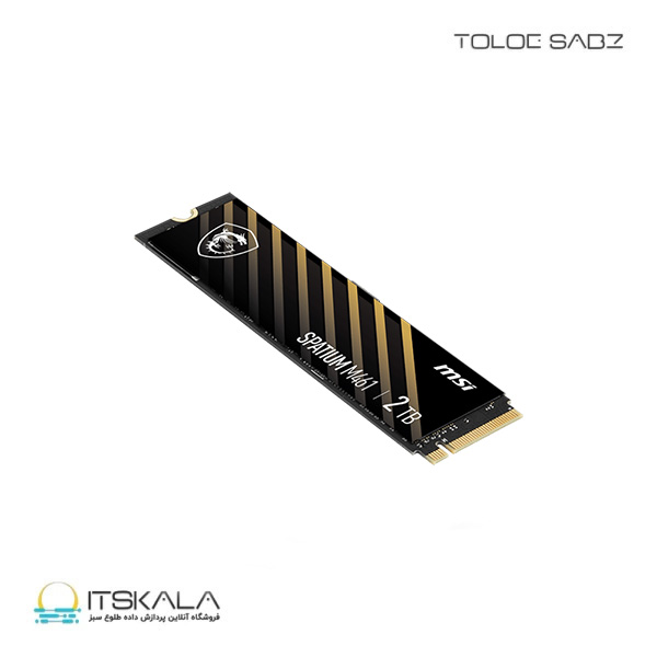 حافظه SSD ام اس ای SPATIUM M461 PCIe 4.0 NVMe M.2 2TB